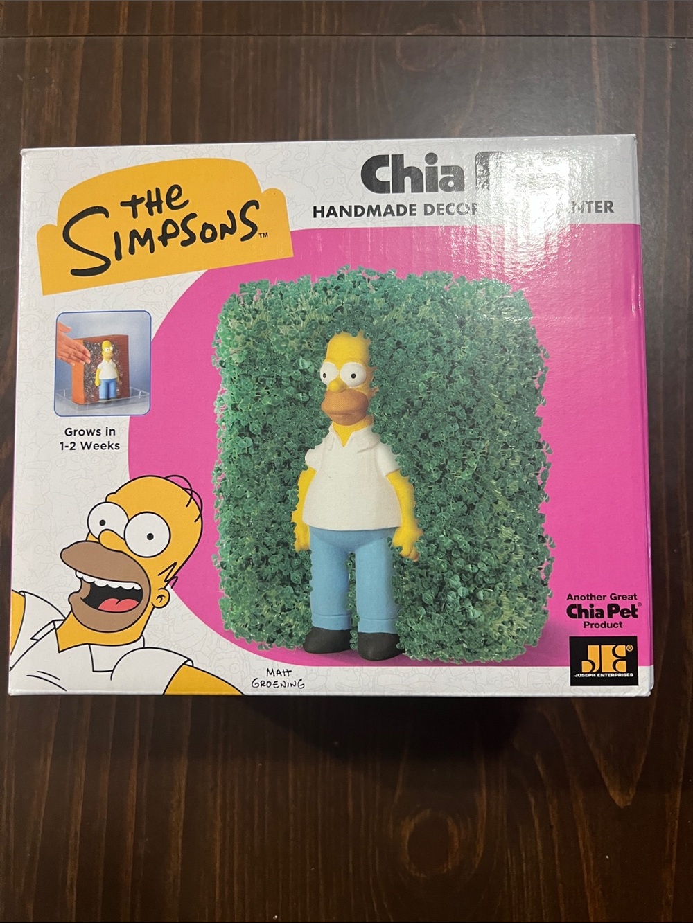 Homer Simpsons Chia Pet Handmade Limited Edition